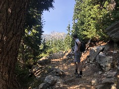 Ben Dorrough; Maple Heather Trail; Cascades, WA